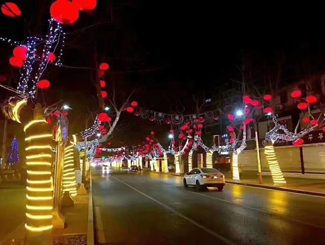 LED节日灯：点亮佳节氛围的现代光影